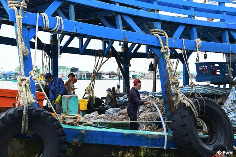 Xã Trần Phán tập trung phát triển kinh tế thủy sản