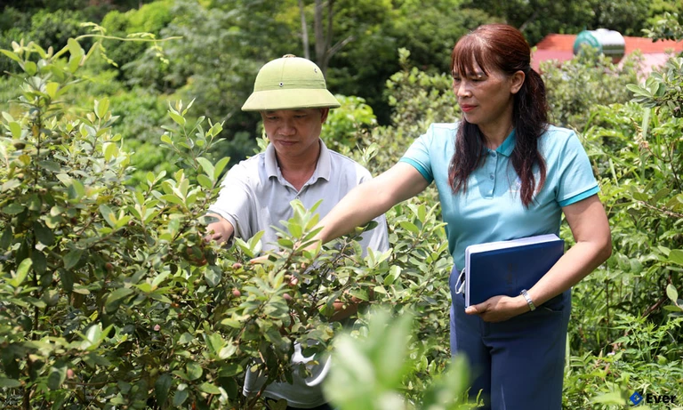 Xã Trường Sơn nâng cao giá trị nông nghiệp hàng hóa gắn với cây dược liệu