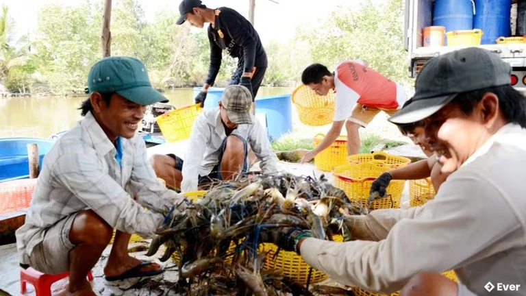 Xã Vĩnh Bình chú trọng đầu tư nâng cấp hệ thống thủy lợi nhằm đảm bảo chủ động nguồn nước phục vụ trồng trọt và nuôi trồng thủy sản