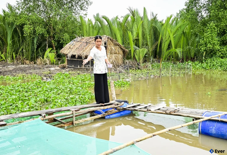 Xã Vĩnh Hòa tập trung khai thác hiệu quả lợi thế khu vực ven sông Cái Lớn để mở rộng các mô hình nuôi trồng thủy sản