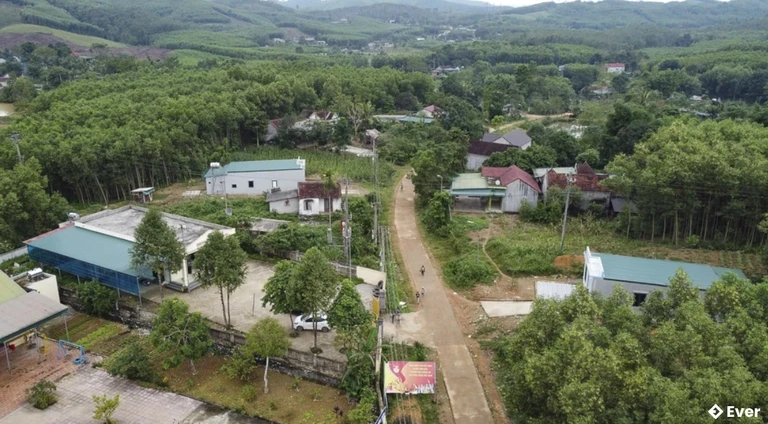 Xã Xuân Bình có diện tích tự nhiên lớn, phù hợp với trồng rừng và phát triển vùng cây ăn quả