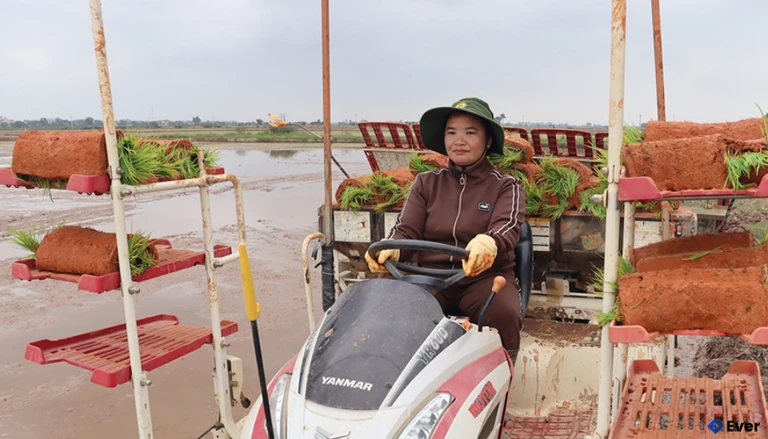 Xây dựng hạ tầng cụm công nghiệp Bình Minh