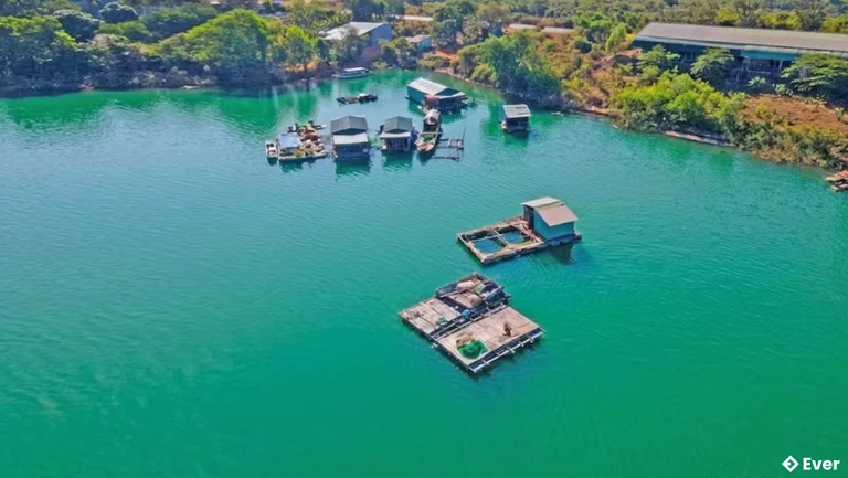 Xóm chài được hình thành từ những nhà bè nhỏ trên lòng hồ thủy điện Sê San