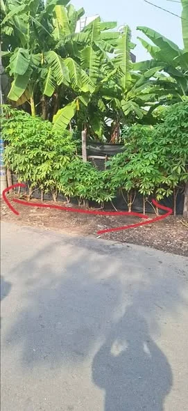 BÁN ĐẤT PHÚ MỸ – TP. THỦ DẦU MỘT, BÌNH DƯƠNG – CHỈ 2,35 TỶ (CÓ THƯƠNG LƯỢNG)