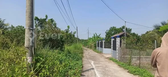 BÁN GẦN 2 SÀO ĐẤT PHỦ HỒNG – CÓ 200M² THỔ CƯ – ĐƯỜNG BÊ TÔNG NGÔ QUYỀN, XÃ DẦU GIÂY MỚI