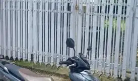 Bán nền đất 210m² – KDC Bình Cư 2, P4, Tân An – mặt tiền ô tô