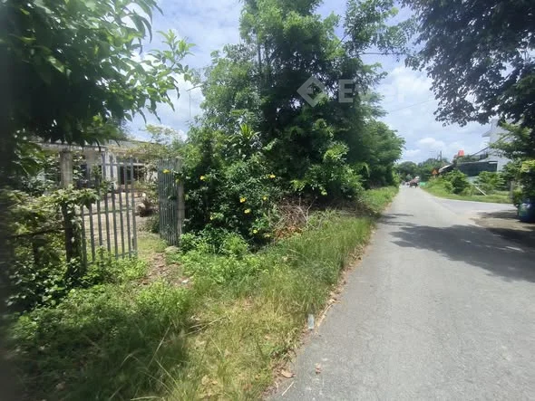 BÁN ĐẤT MẶT TIỀN SÔNG LU 2 – BÌNH MỸ, CỦ CHI