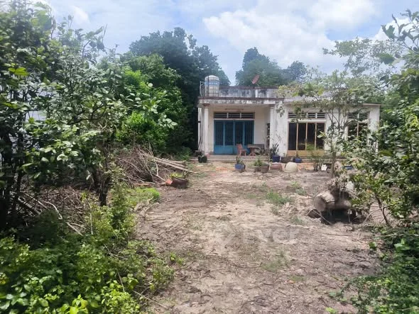 BÁN ĐẤT MẶT TIỀN SÔNG LU 2 – BÌNH MỸ, CỦ CHI