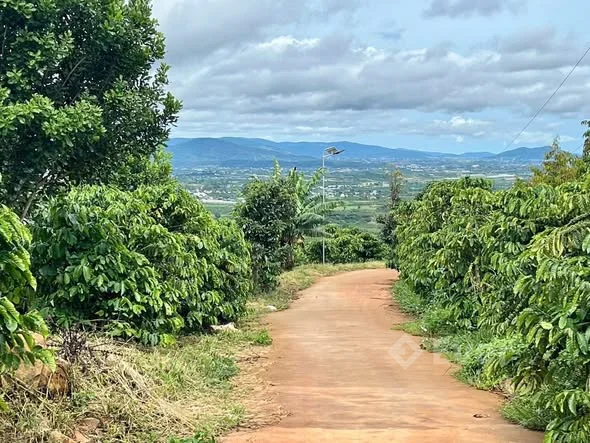 Bán lô đất view đẹp tại Đinh Văn, Lâm Hà, Lâm Đồng – 1000m² chỉ 760 triệu