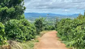 Bán lô đất view đẹp tại Đinh Văn, Lâm Hà, Lâm Đồng – 1000m² chỉ 760 triệu