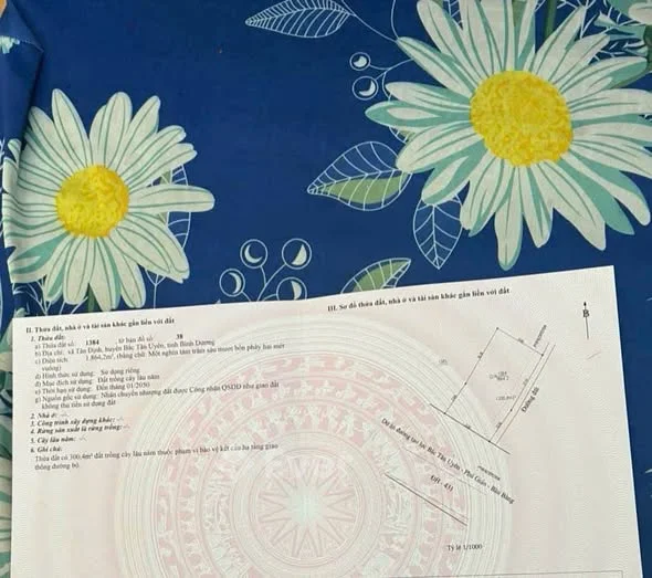 Ảnh bất động sản