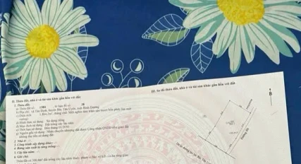 Ảnh bất động sản