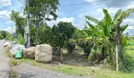 Đất mặt tiền nhựa Sở Gòn, Phước Đông bán giá rẻ