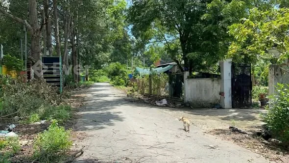 Chủ cần chuyển nhượng nông trại xã an phú củ Chi TP HCM,