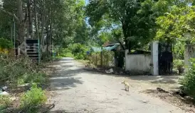 Chủ cần chuyển nhượng nông trại xã an phú củ Chi TP HCM, Tổng diện tích (2ha1) thổ cư 300 mét, 2 mặt