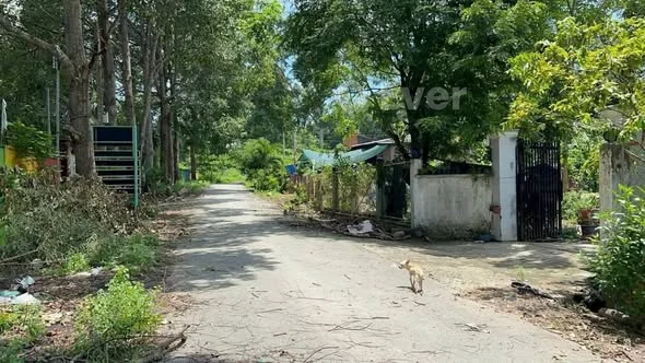 21000m2, 300m2 thổ cưMT đường xã An Phú, Củ ChiBán giá 65 tỷ