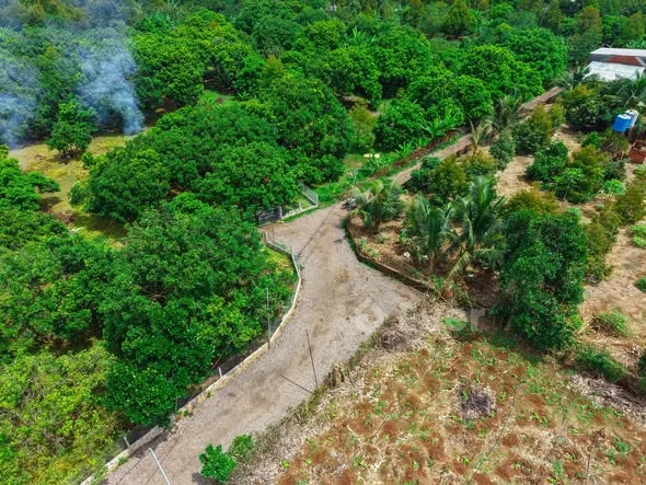 Ảnh bất động sản