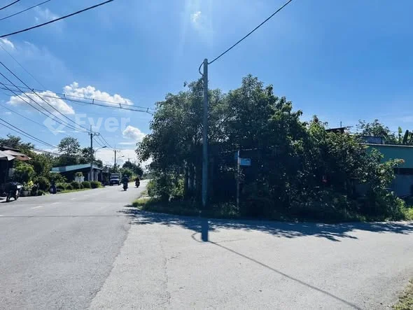 ĐẤT LÚA LÀM NHÀ VƯỜN GIÁ RẺ Cây Trôm Mỹ Khánh + Lê Thị Kịa 7300m² (78 x 95), nở hậu đẹp Thích hợp