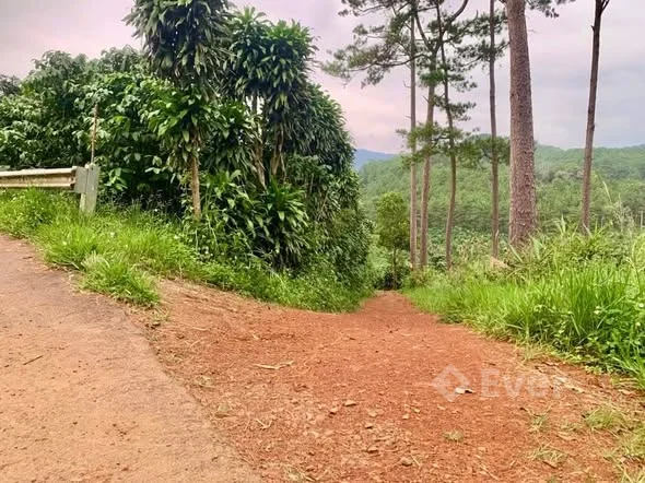 BÁN ĐẤT VƯỜN 7.962M² – XÃ LỘC PHÚ, BẢO LÂM – ÔM SUỐI LỚN, VƯỜN CÀ PHÊ XANH TỐT – GIÁ CHỈ 1,8 TỶ (THƯƠNG LƯỢNG CHÍNH CHỦ)