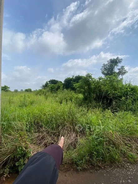 --- Chủ gửi đất thổ cư Sông Trầu - Trảng Bom (xã Trảng Bom Mới)