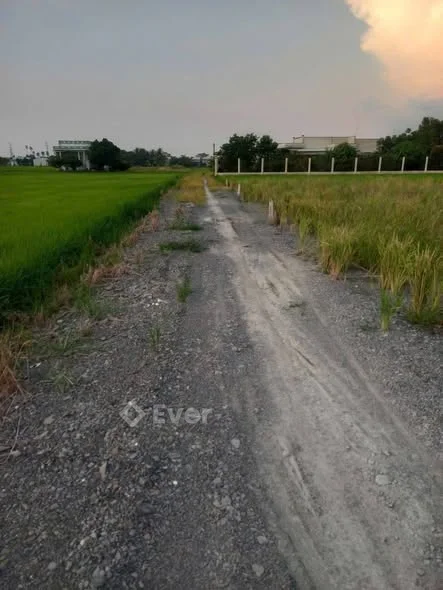 Chủ gởi bán lô đất thổ cư 10 x 23 = 230m đường 2m, cách xe hơi chỉ 100m