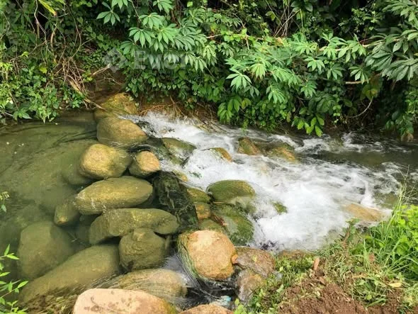 DT :38x163. Nở hậu. 7.501m² có 400m² thổ cư Giá bán chỉ 500tr/1.000m²m ( 3 tỷ 750tr )