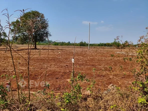 CHÍNH CHỦ BÁN LÔ ĐẤT HẺM C1 – TỈNH LỘ 8, CÁCH NGÃ BA CÂU PHƯỢNG CHỈ 5 PHÚT