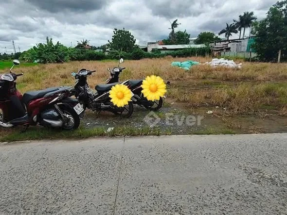 𝐂𝐡𝐮̉ 𝐆𝐢𝐚̉𝐦 𝟑𝟎𝟎 𝐭𝐫𝐢𝐞̣̂𝐮 𝐂𝐎̀𝐍 : 𝟐 𝐭𝐲̉ 𝟐𝟎𝟎 triệu