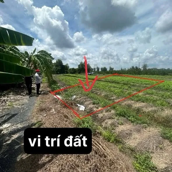 Bán 608,8m² ĐẤT vườn Dt: 24 ×25m- Đường dọn xơ cỏ ôtô ngay đất -