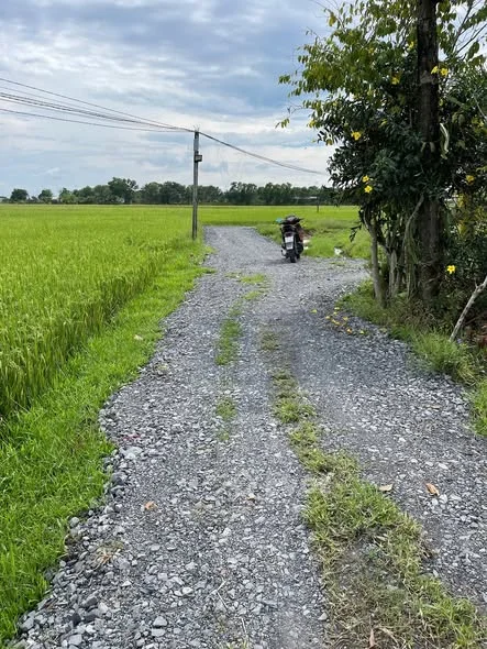 Cg 3 lô đất liền kề giá đầu tư tọa lạc Đức Hòa Thượng Đức Hòa Long An