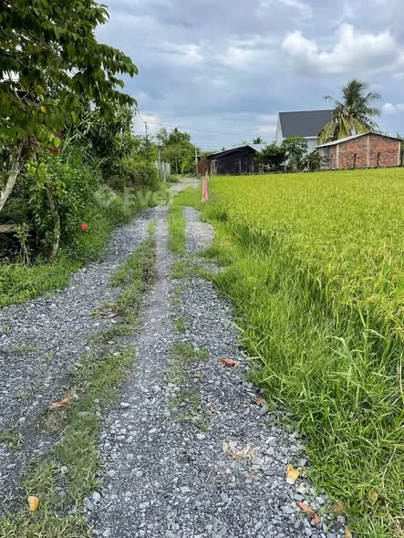 Cg 3 lô đất liền kề giá đầu tư tọa lạc Đức Hòa Thượng Đức Hòa Long An