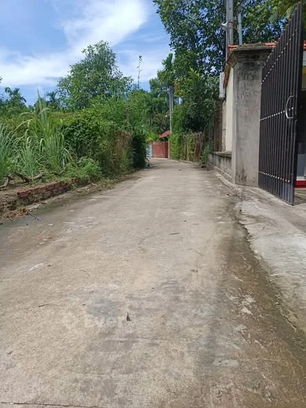 Bán đất P. Tân An, Thủ Dầu Một, Bình Dương---Giá: 1 tỷ 4xx/ lôDt: 5 x 20m.