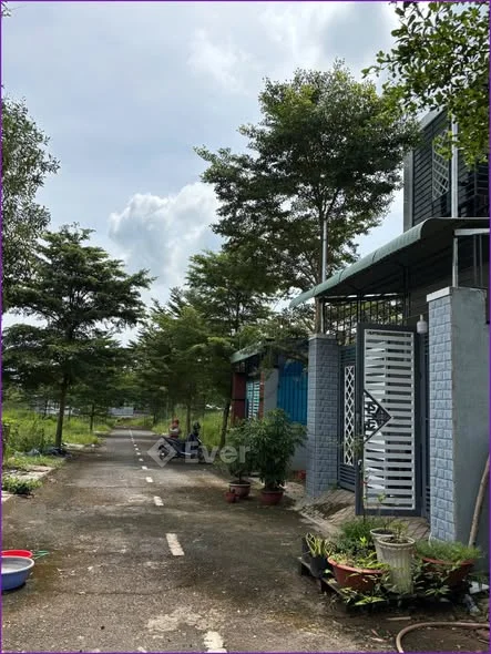 4x28,6m nở hậu 4,5m có 117,9m thổ cư