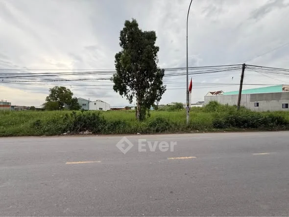 Chính chủ gửi mặt tiền nhựa Bùi văn Ngọ , Đức Hoà Đông củ, Đức Hoà. Xung quanh Cụm KCN đông đúc. Tiệ