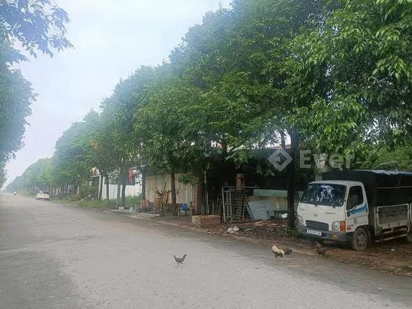 Ảnh bất động sản