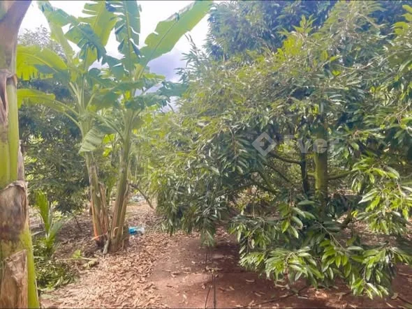 SIÊU PHẨM NHÀ VƯỜN ĐẤT ĐỎ BAZAN – NGUỒN THU ỔN ĐỊNH, SINH LỜI MẠNH!