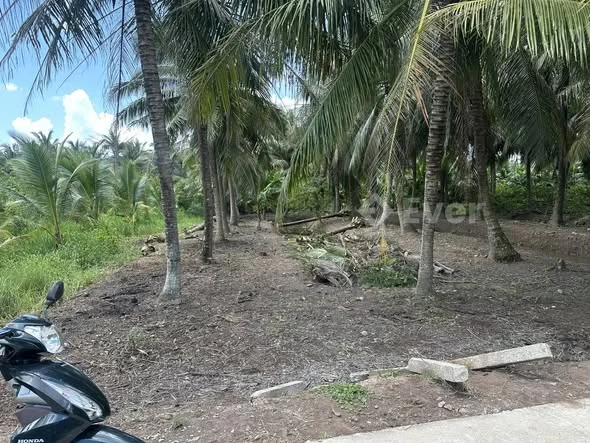 Diện tích: 316m2 ( 6.68m dài 46m , nỡ hậu 6.92m )