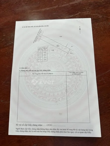 Diện tích: 316m2 ( 6.68m dài 46m , nỡ hậu 6.92m )