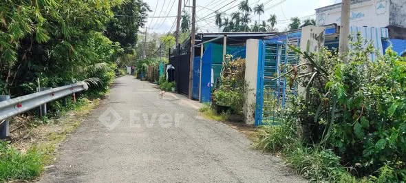 BÁN ĐẤT MẶT TIỀN NGUYỄN THỊ DA – BÌNH MỸ, CỦ CHI