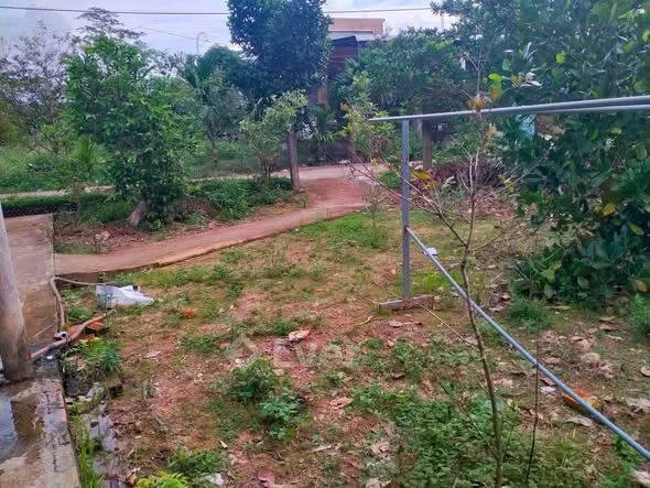 Cần bán căn nhà và 1 lô đất ngang 21m7 dài 60m đường bê tông 3m5 sau vườn trồng cây ăn trái như sầu