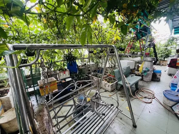 Ảnh bất động sản