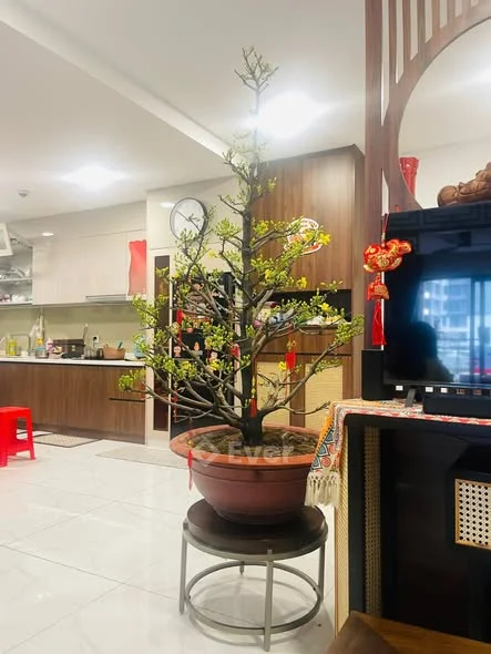 CHO THUÊ CĂN HỘ DIAMOND BRILLIANT – FULL NỘI THẤT CAO CẤP