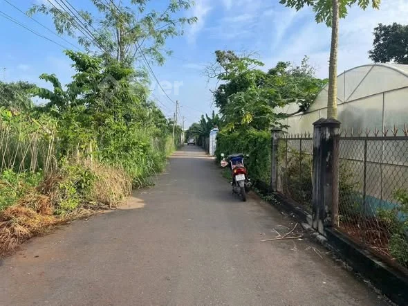 ——MẶT TIỀN NHỰA ĐƯỜNG 57 HOÀ LONG. P. TAM LONG. TPHCM