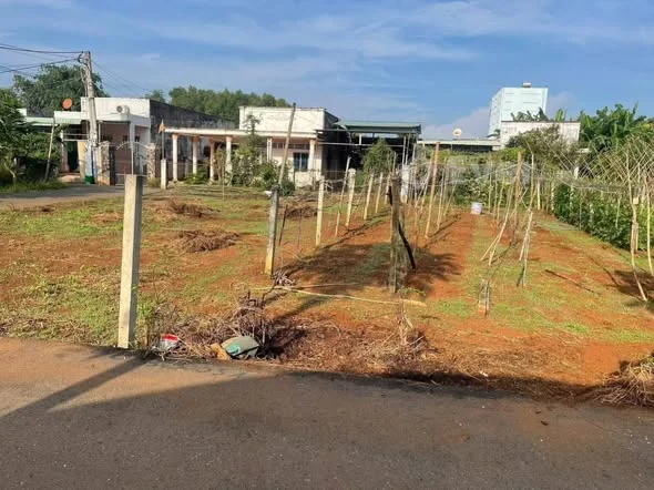 Ảnh bất động sản