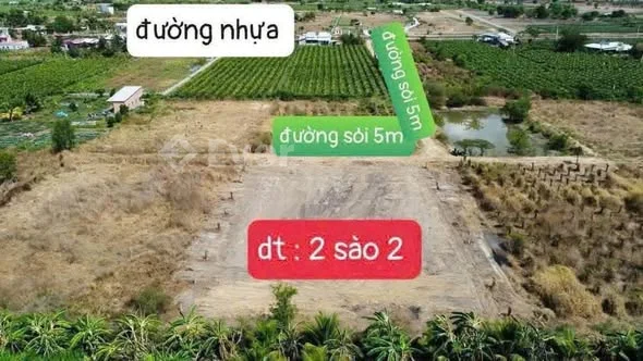 ĐẤT SÀO HÀM LIÊM - LÂM ĐỒNG Dt : 2 sào 2 đất trồng cây lâu năm , sổ riêng Cách Phan Thiết 10km