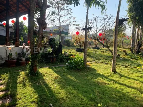 Cho thuê ĐẤT MẶT TIỀN ( 35m ngang) đường nhựa 16m gần công an huyện Đức Linh. Giá rẻ 1tr Tỉnh lộ 713