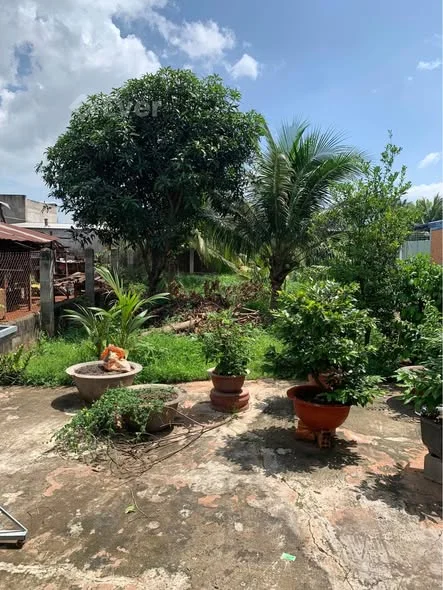 Diện tích chính: 141m² full thổ cư, có sẵn nhà ở tiện nghi