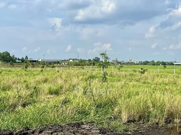 1000m2 đất trồng cây ngay tỉnh lộ 7 rẽ vào tầm 500m xã Thái Mỹ -Củ Chi _ CHỦ BÁN 990TR BỚT LỘC