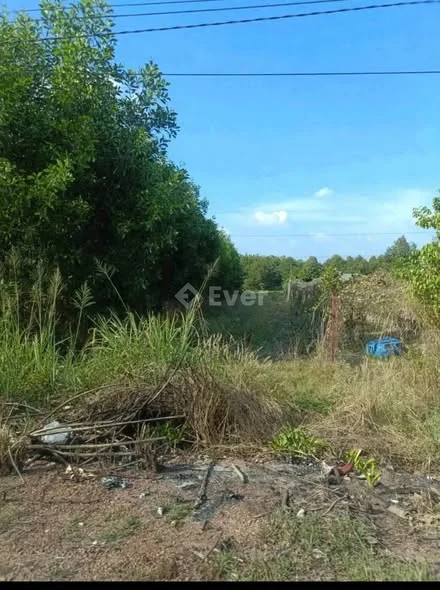 Mặt tiền đường đt 746 tân định bắc tân uyên bình dương cũ nay thuộc tphcm