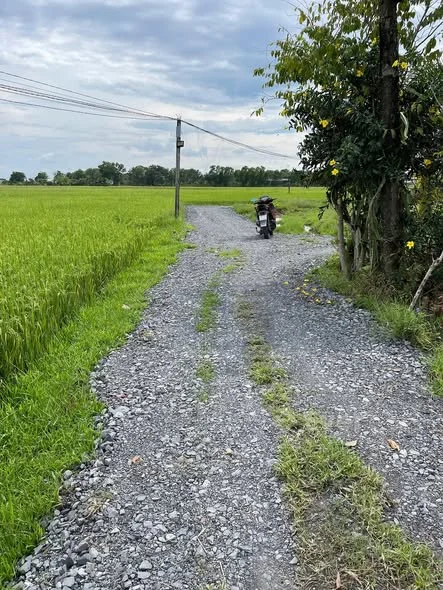 tọa lạc Đức Hòa Thượng Đức Hòa Long An ( Mỹ Hạnh Tây Ninh )